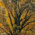 acrylique_0040 (soldout)